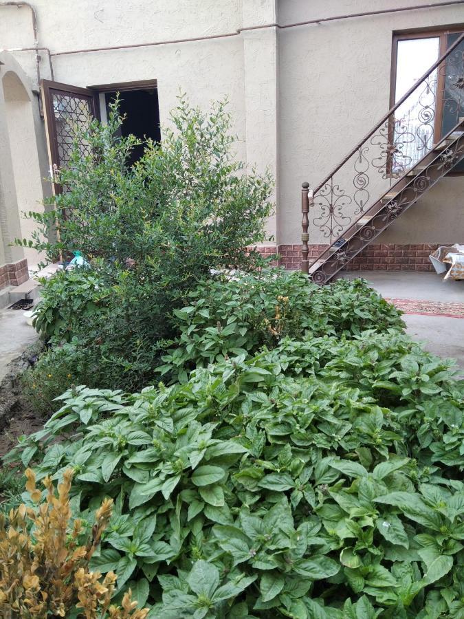 Guest House Art Postindoz Khiva Exterior photo