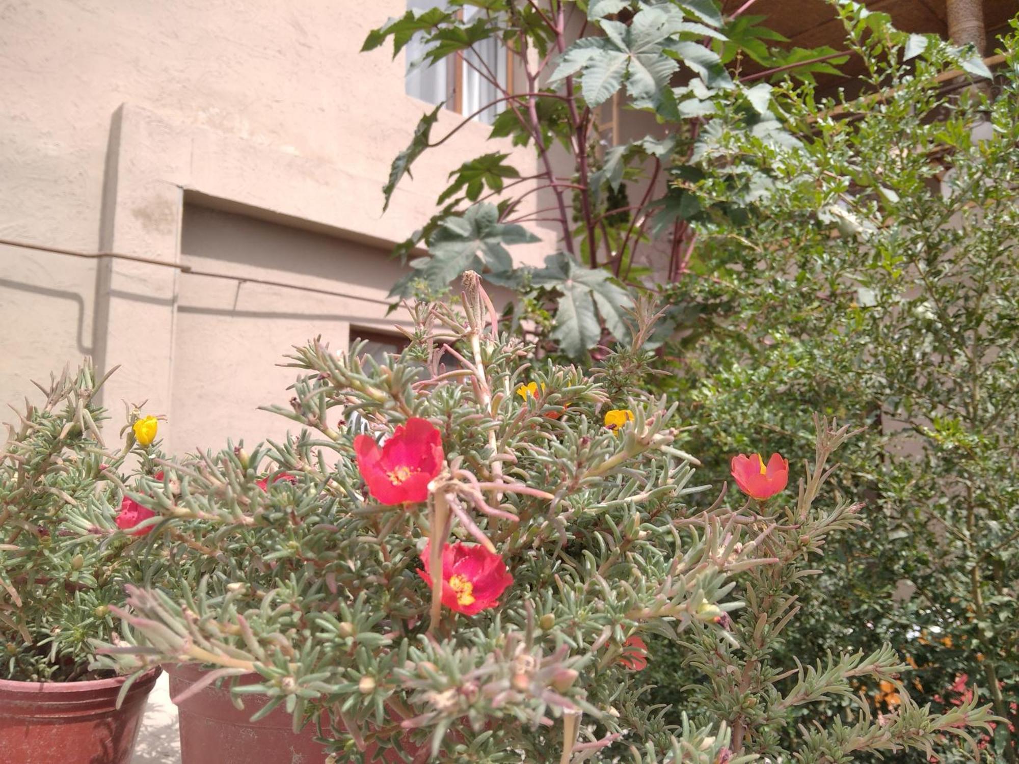 Guest House Art Postindoz Khiva Exterior photo